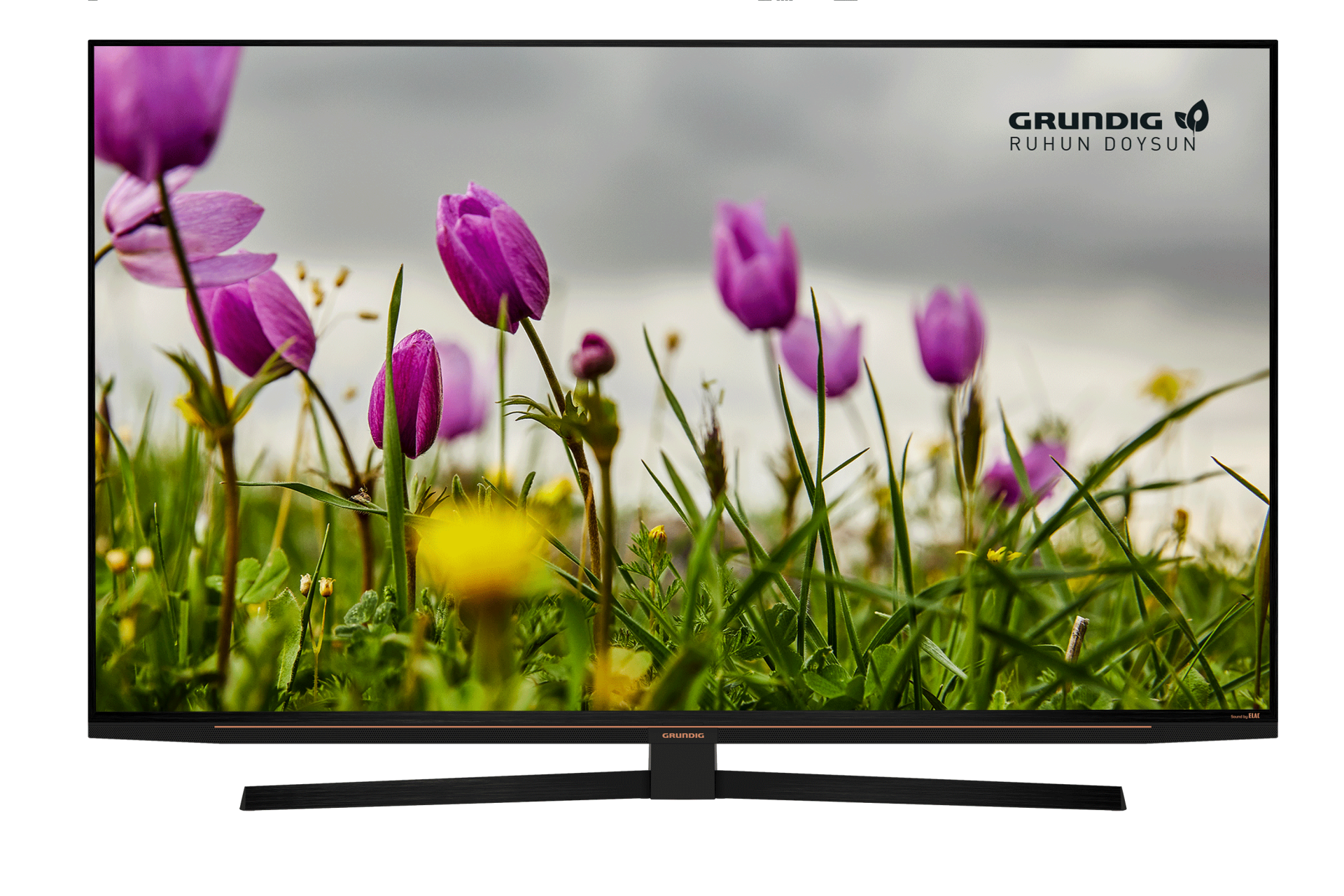 Grundig MADRID 65 GEU 8965 B 4K UHD Pro Televizyon